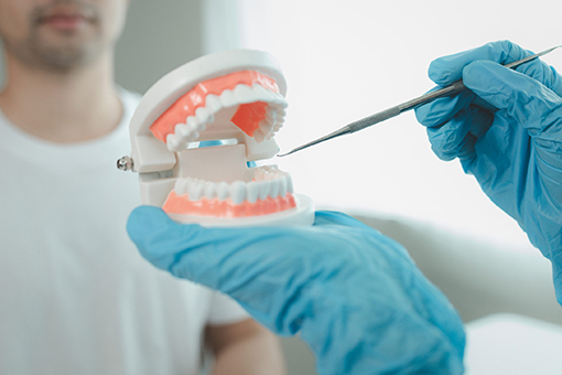Wesley Chapel Dentist Showing Patient Plan For Comprehensive Dental Rehabilitation